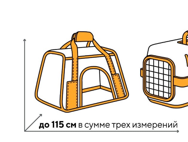 Изображение из обсуждения