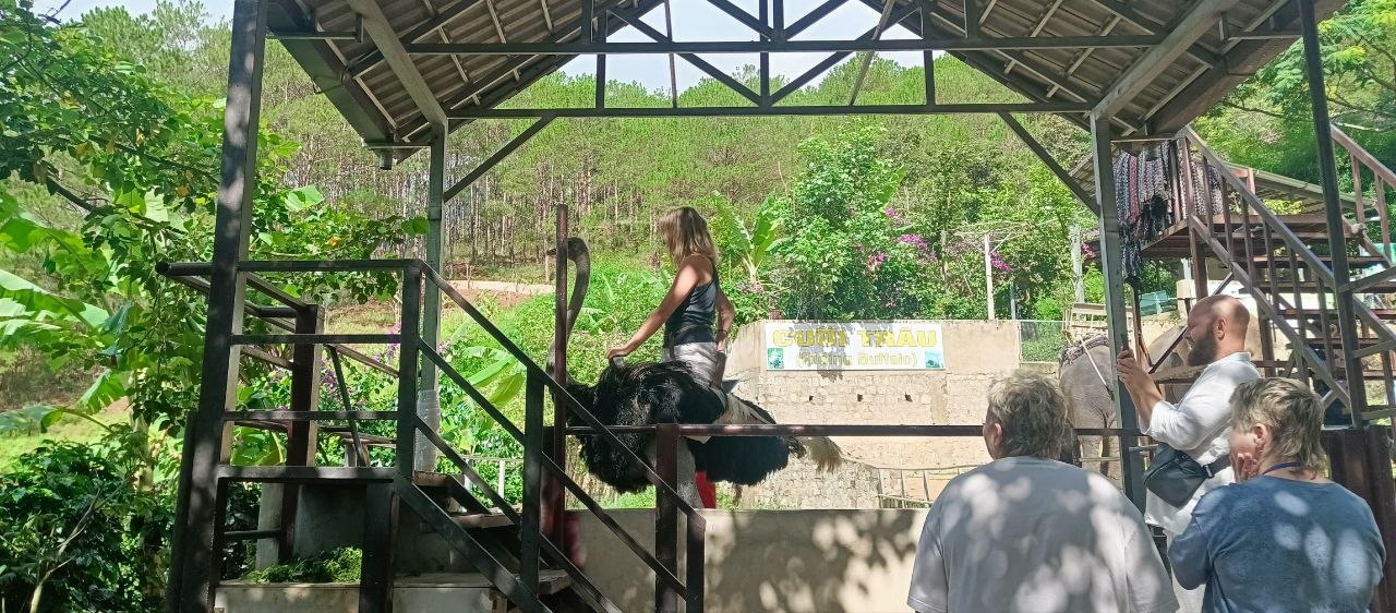 Изображение из обсуждения