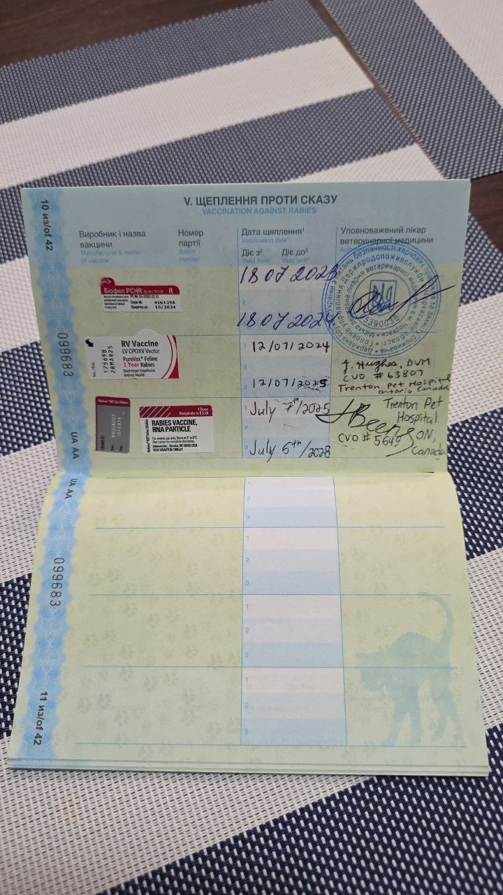 Изображение из обсуждения