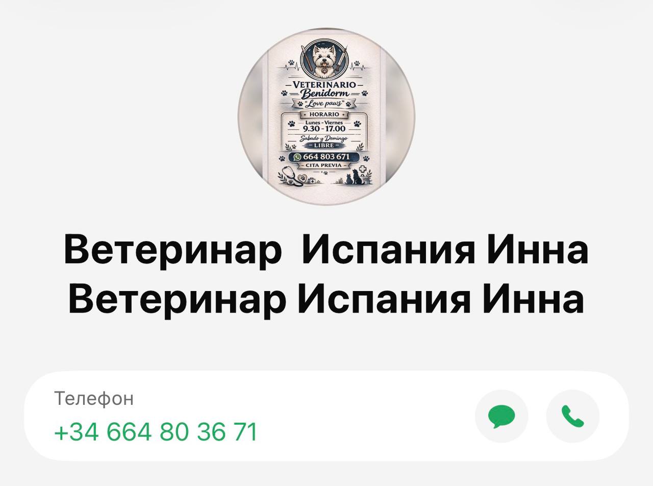 Изображение из обсуждения