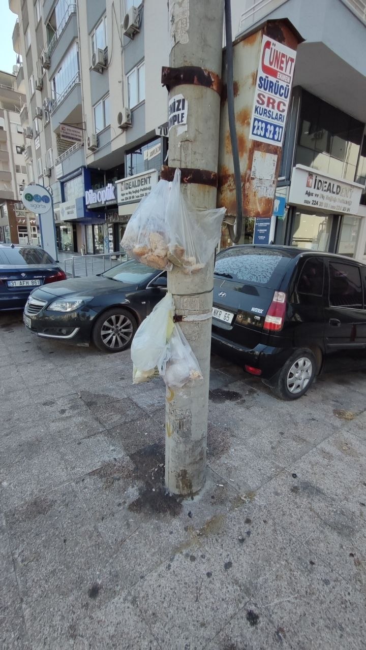 Изображение из обсуждения