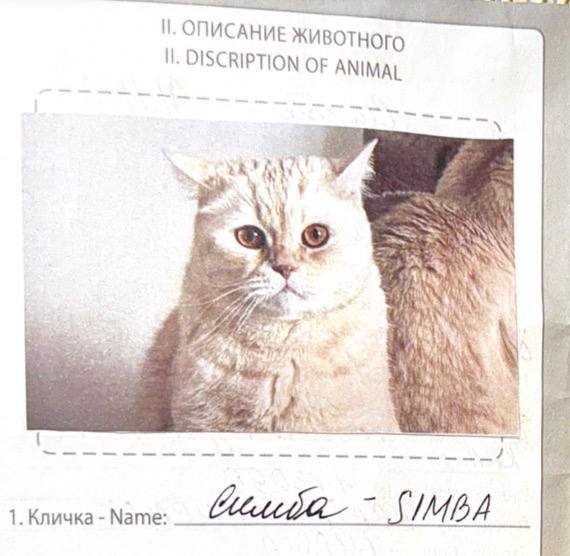 Изображение из обсуждения