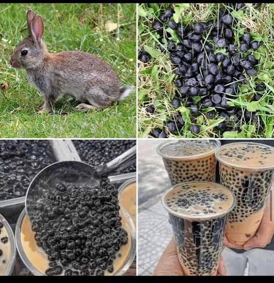 Изображение из обсуждения
