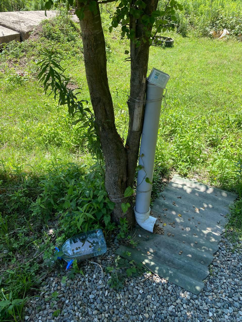 Изображение из обсуждения