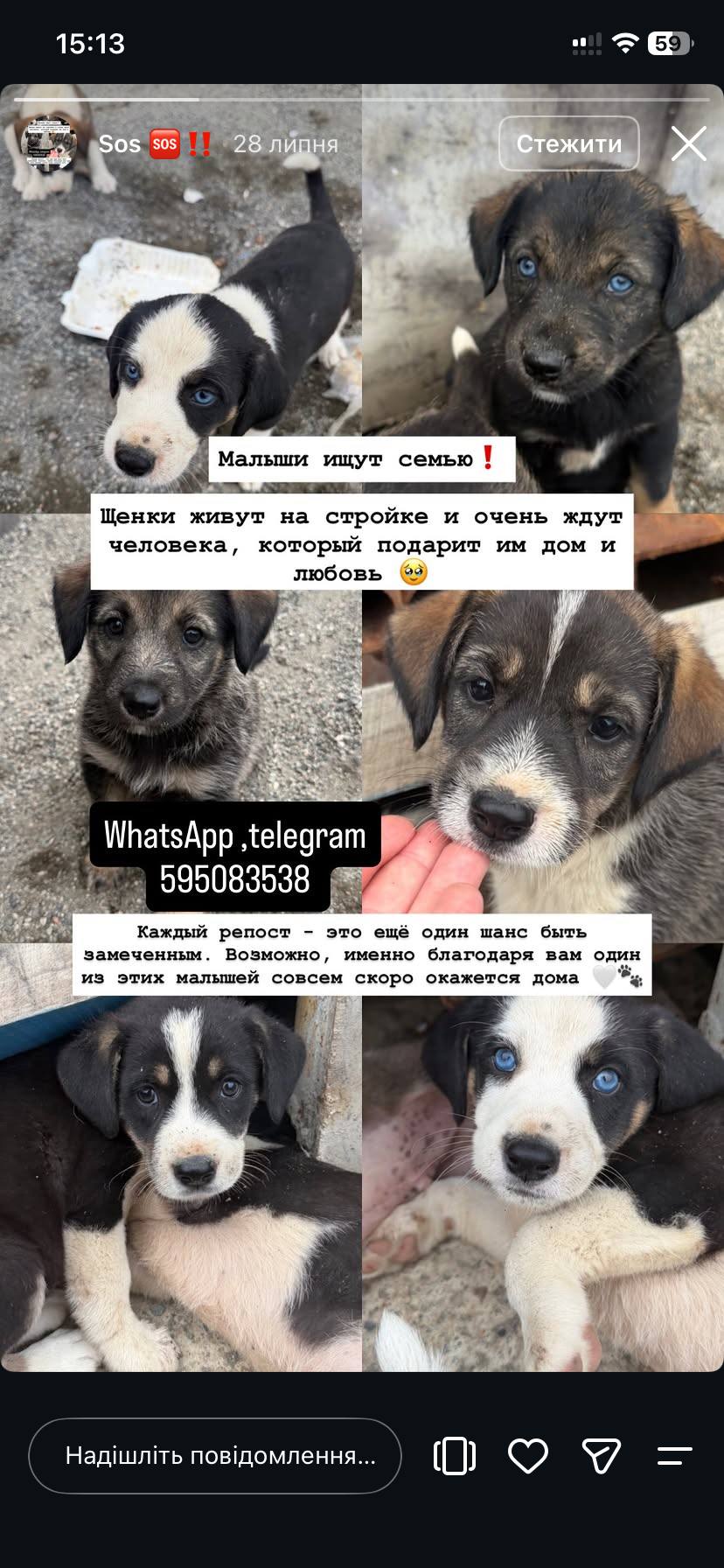 Изображение из обсуждения