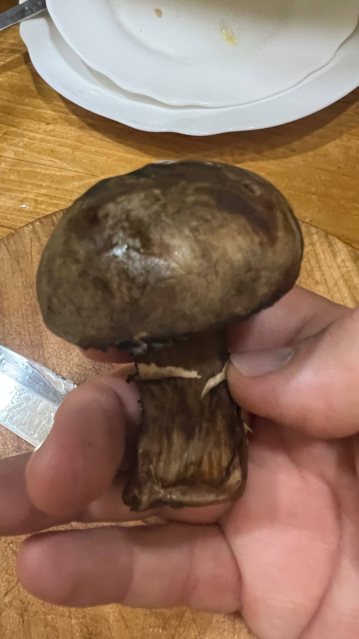 Изображение из обсуждения