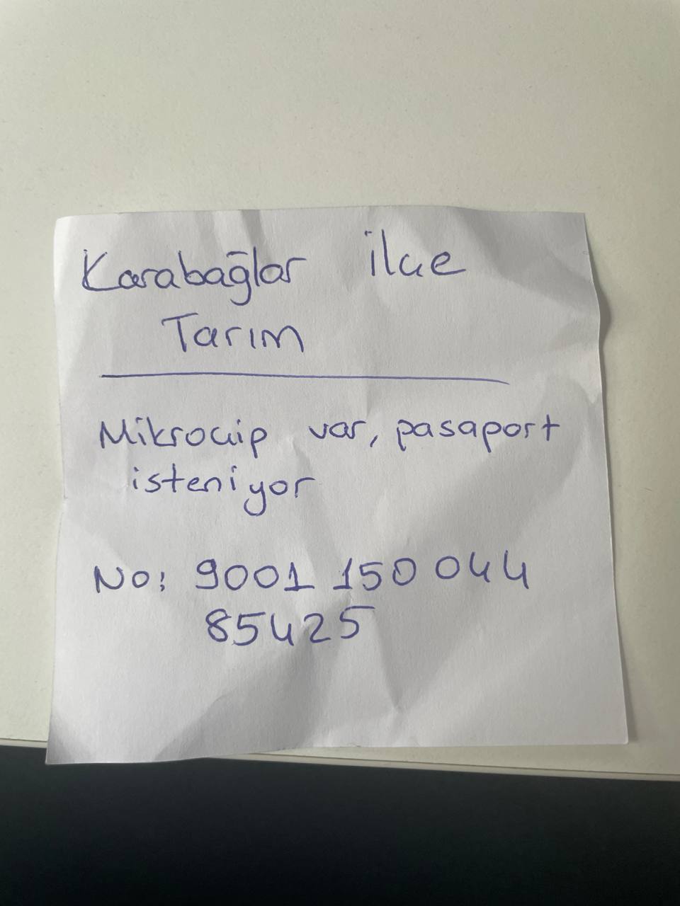 Изображение из обсуждения