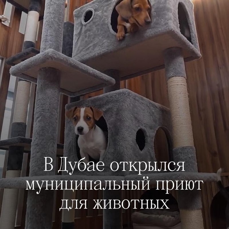 Изображение из обсуждения