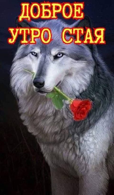 Изображение из обсуждения