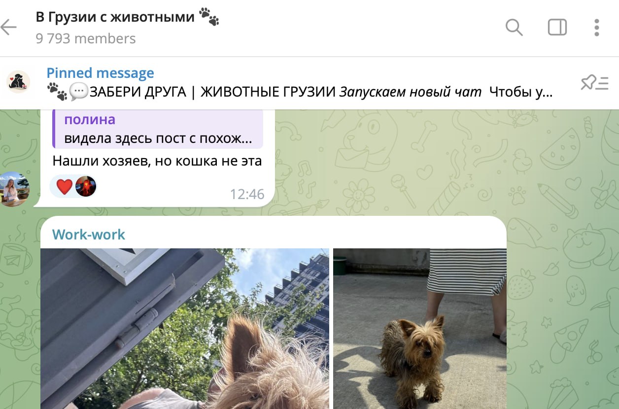 Изображение из обсуждения