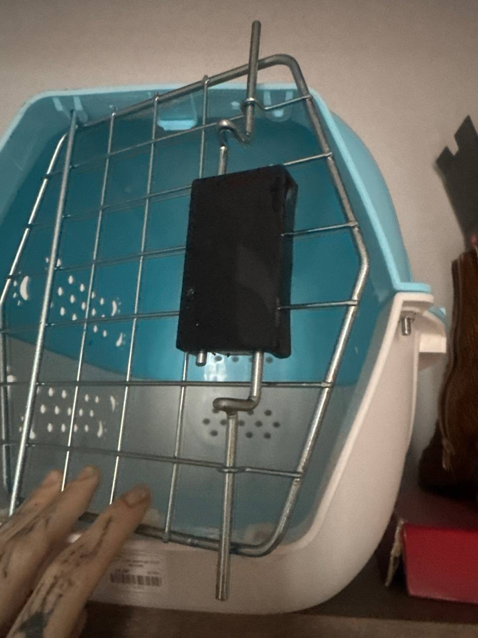 Изображение из обсуждения