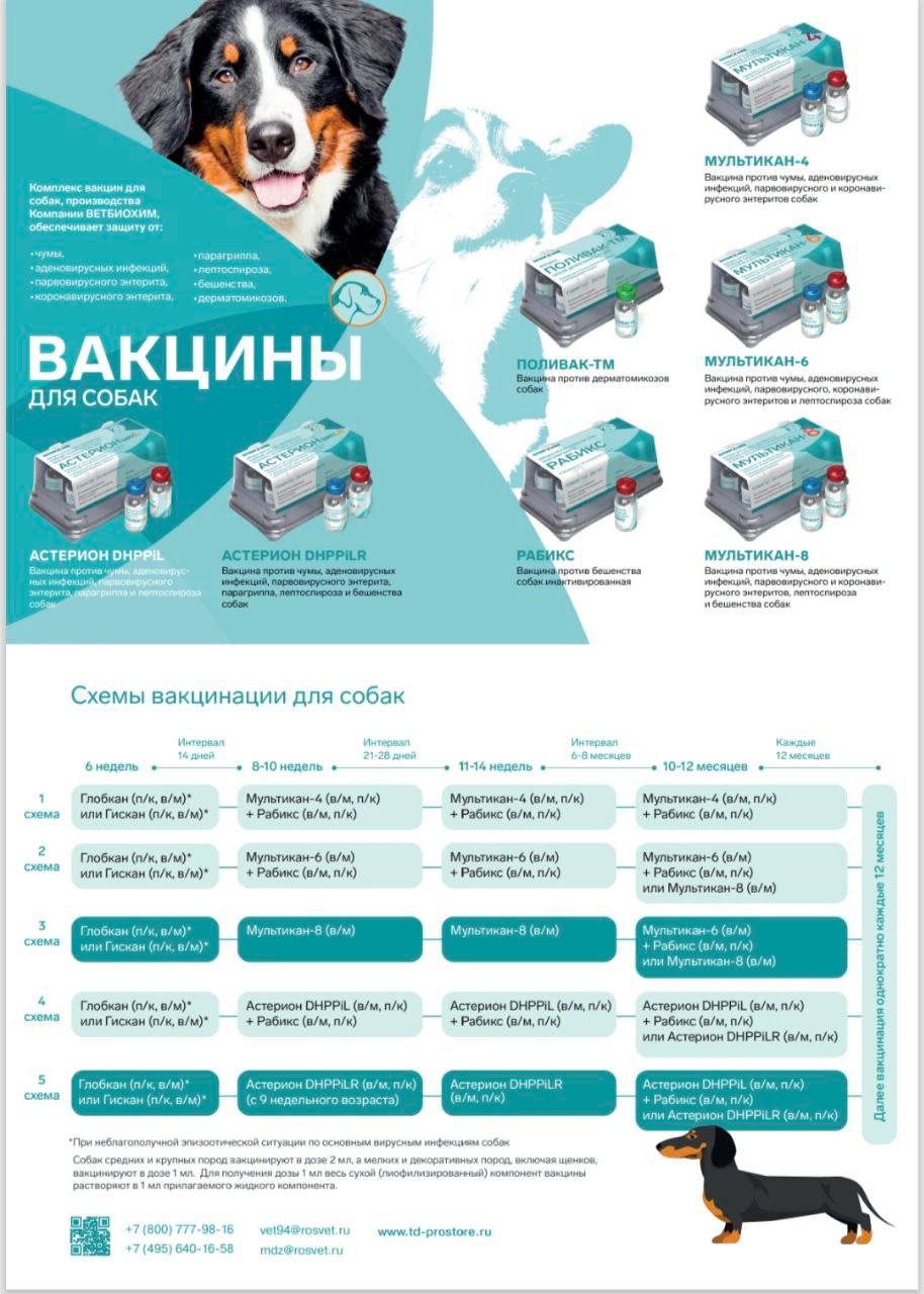 Изображение из обсуждения