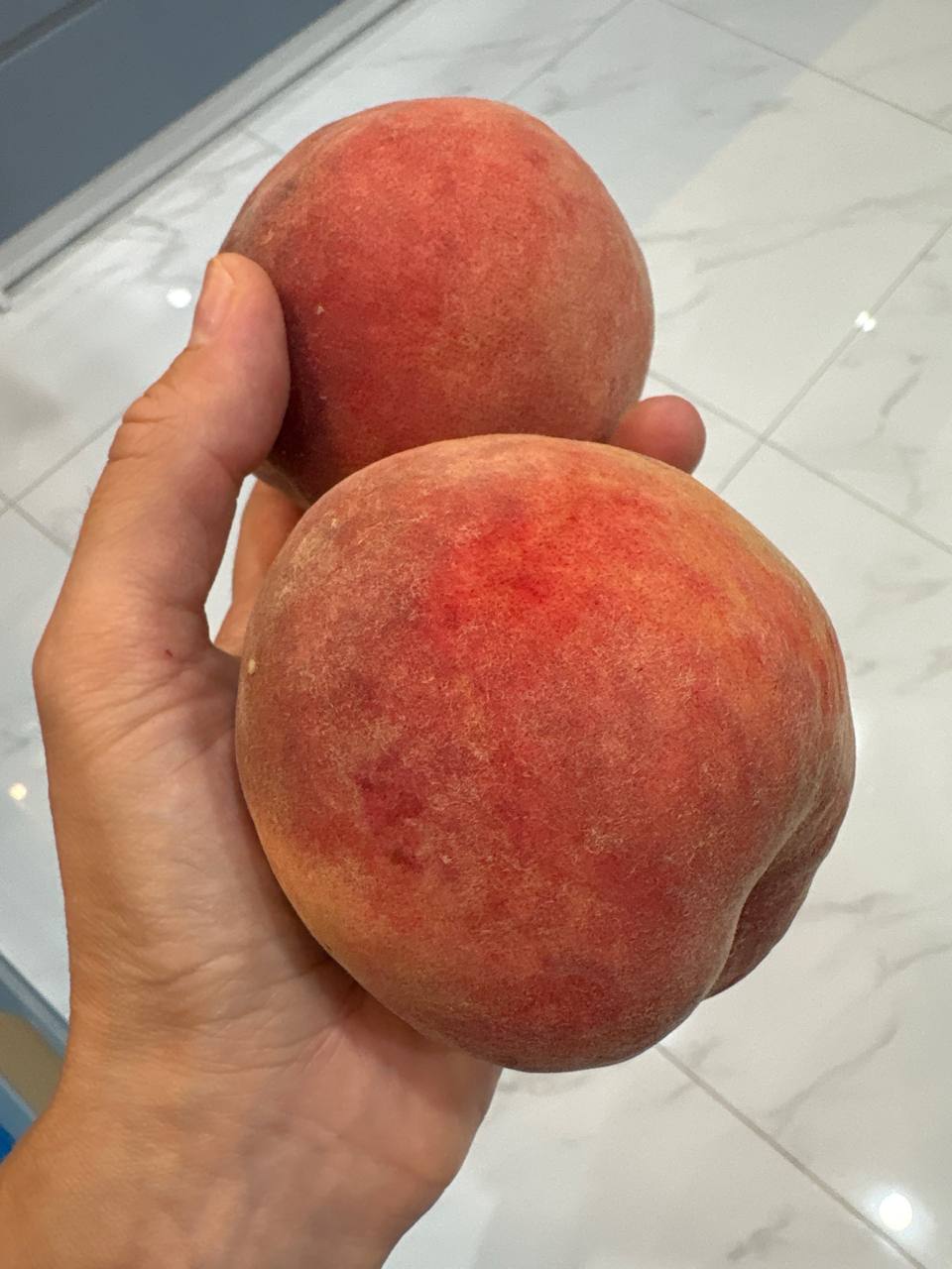 Изображение из обсуждения